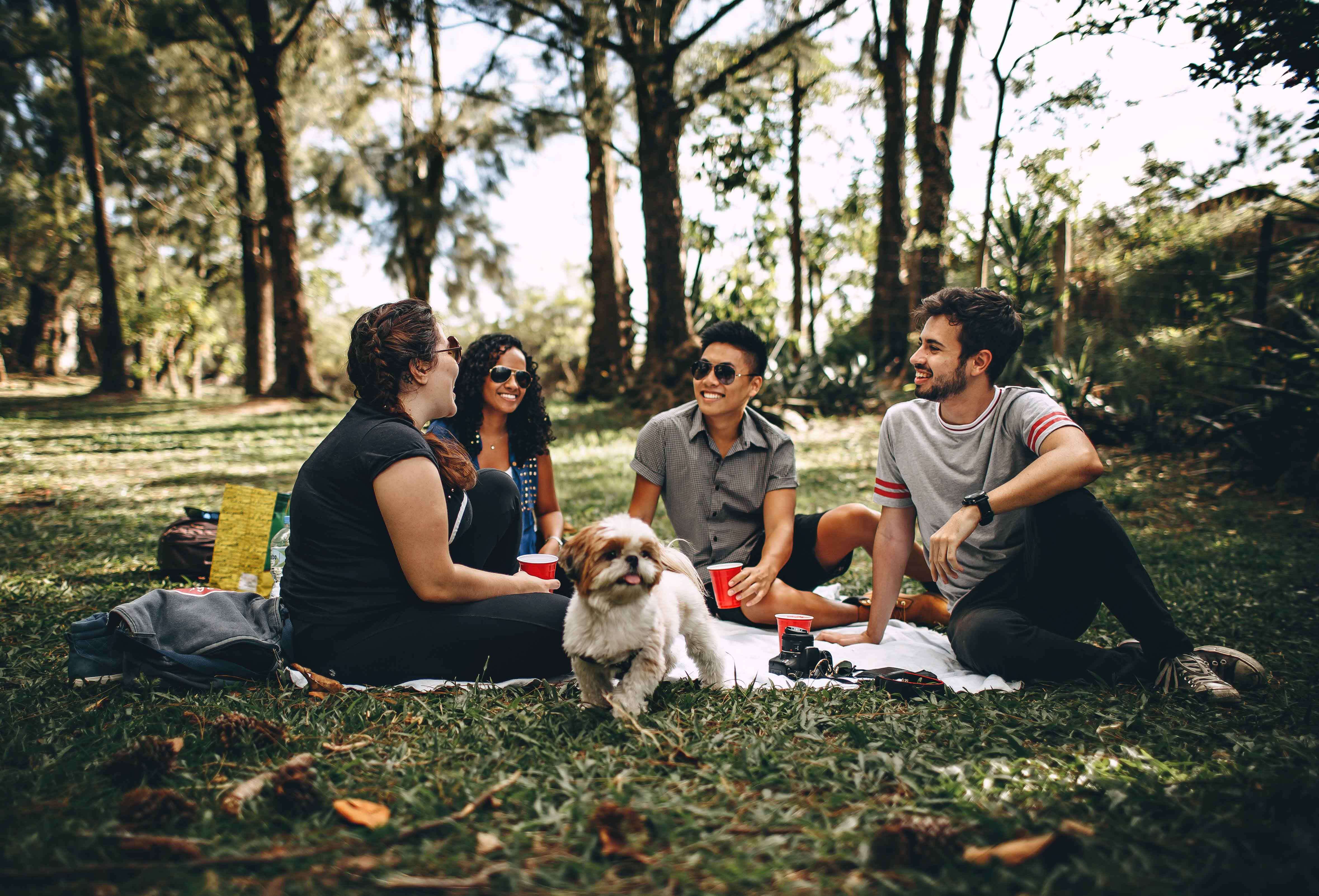 Four people sitting on a blanket on the grass, enjoying a picnic and a cute dog