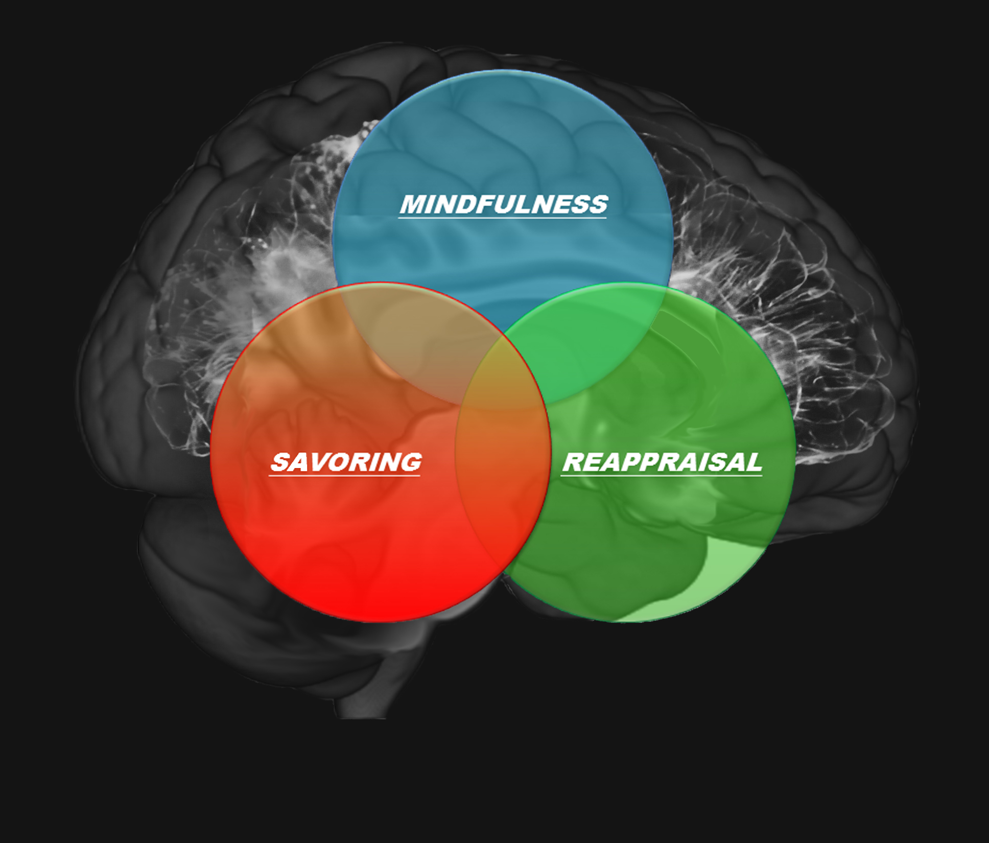 3 Key Therapeutic Processes of MORE